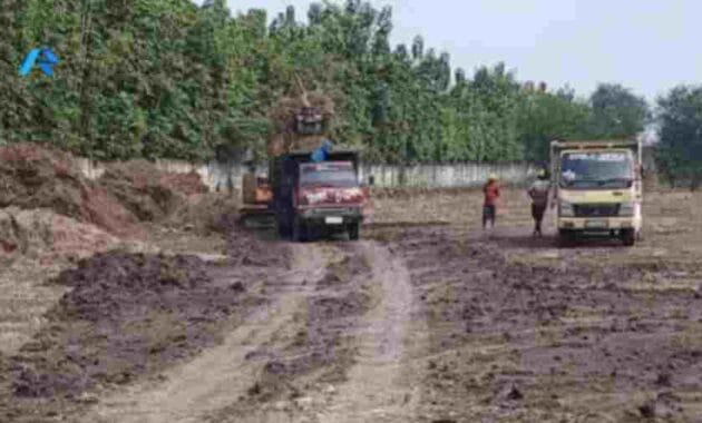 Pembersihan Lahan Proyek Land Clearing: Panduan Lengkap dan Esensial